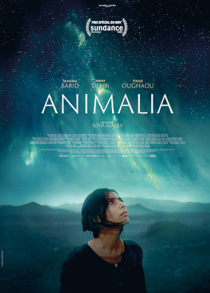 ANIMALIA