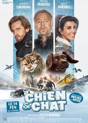 Chien & Chat