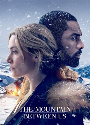 THE MOUNTAIN BETWEEN US 