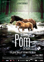 POM, LE POULAIN